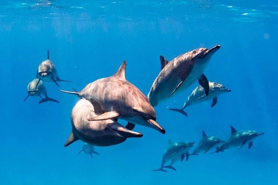efedc145 0e16 409c 9c9b fd27e00514b7